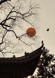 雀儿是哪部电视剧的人物