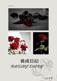养成日记H