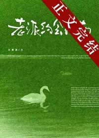 老派约会指南矢青渡