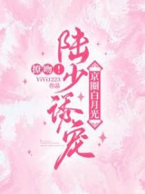 陆少宠妻超甜齁免费全文免费阅读