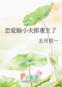 恋爱脑小夫郎重生了原文