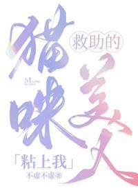 救助的小猫怎么处理