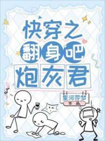 炮灰君在线免费阅读