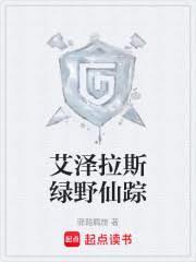 绿野仙踪 攻略
