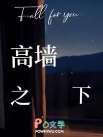 高墙之下by葵秋秋讲的啥