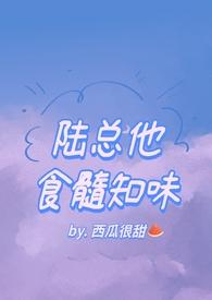 陆总他食髓知味50章