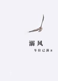 溺风免费阅读