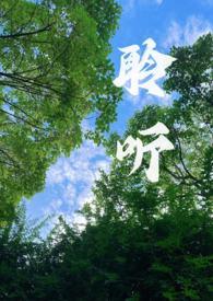 聆听(校园1v1)txt